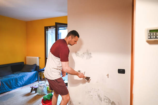 Best Affordable Mold Removal  in Banner Elk, NC
